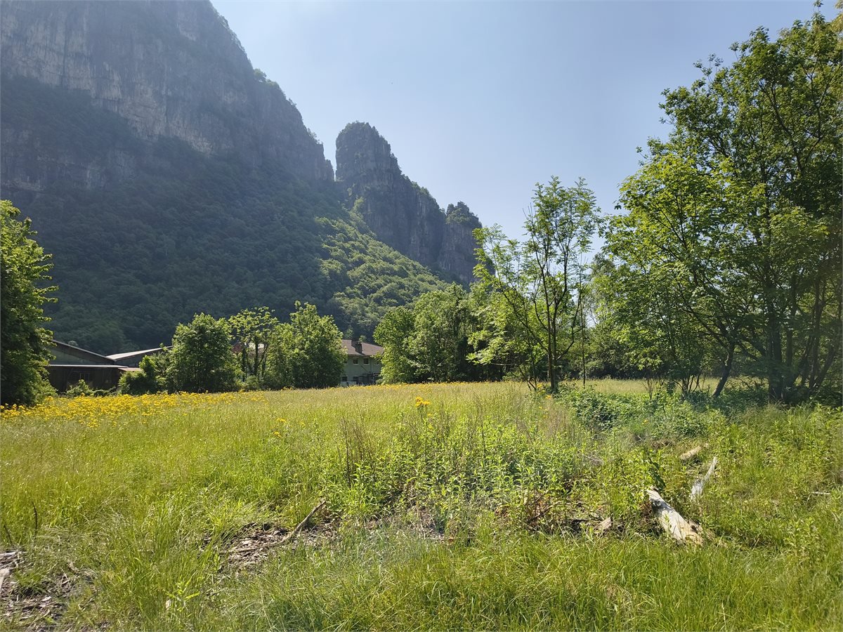 immagine annuncio 2 di 3