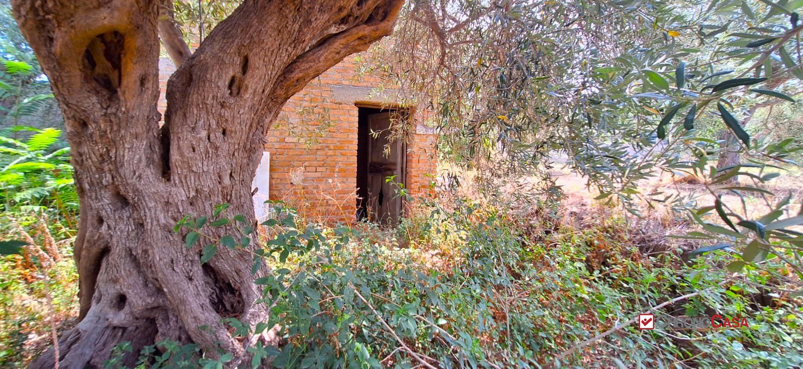 Rustico in Vendita