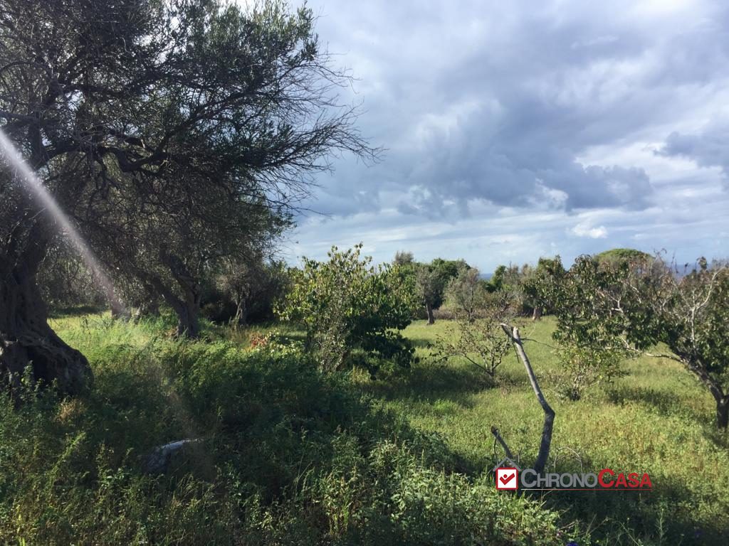 Terreno in Vendita