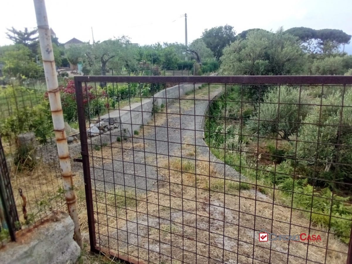 Terreno in Vendita