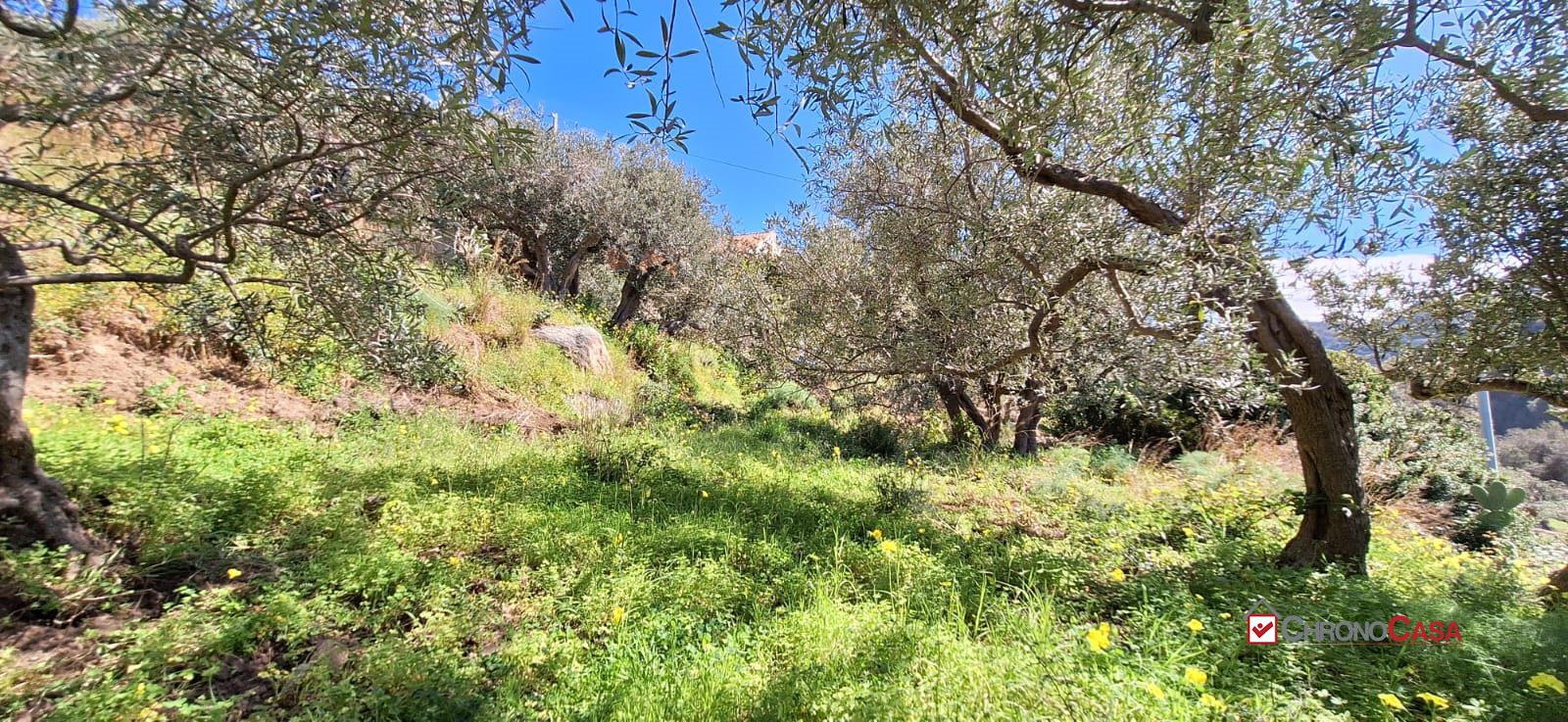Terreno in Vendita