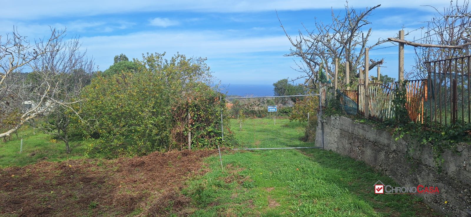 Terreno in Vendita