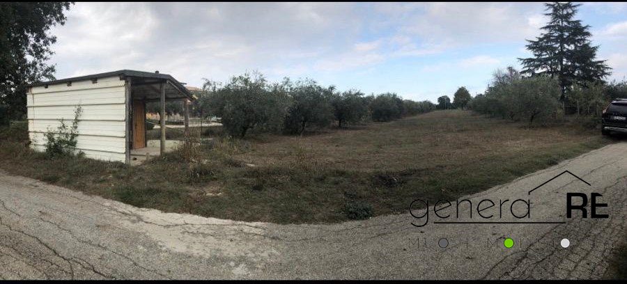 immagine annuncio 1 di 3