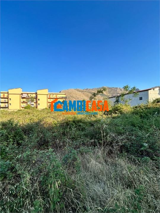 immagine annuncio 2 di 8