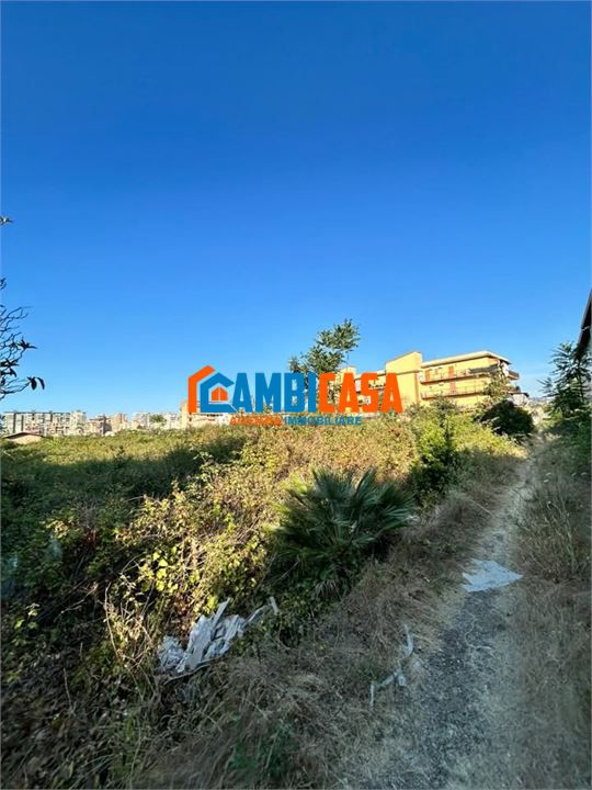 immagine annuncio 6 di 8